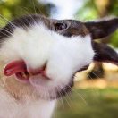 是的发送到发和接口和