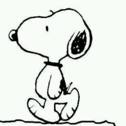 陈先生的小欢喜