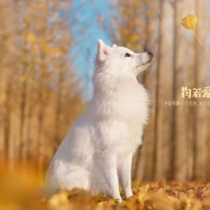 我气哭了百万修真者