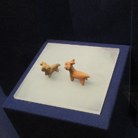 青岛大学张志梅