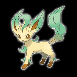 邴璟玥国科大校园大使