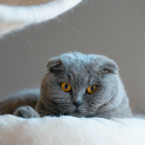 20级大数据2班乔莉