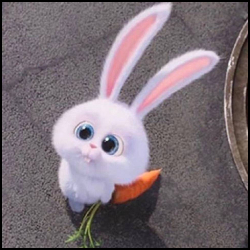 兔兔那么可爱不要吃我