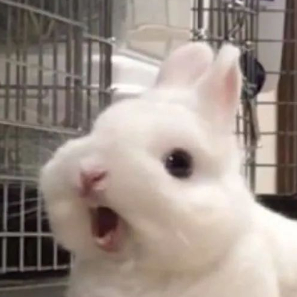 20网络工程罗心蜜