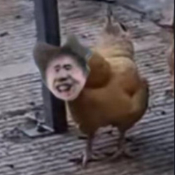 厉不厉害你坤哥