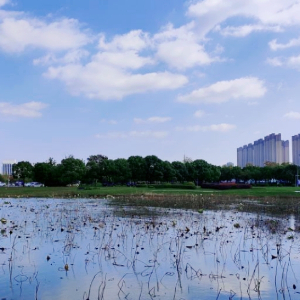 物联网201杜佳佳