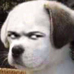 可恶_还是不行吗