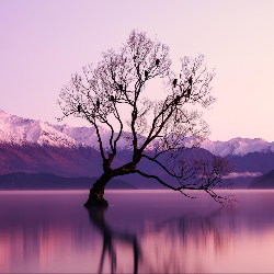 老头给我买包烟