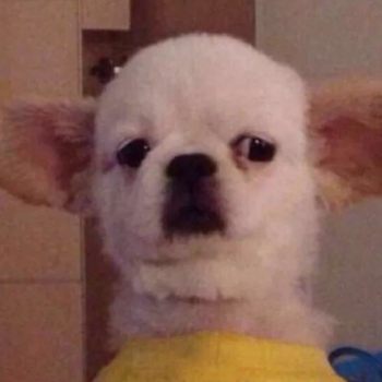 kiki