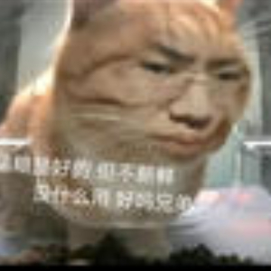 题是好的但是做不出来