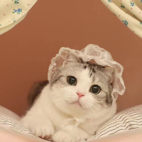 爱学习的大眼萌妹