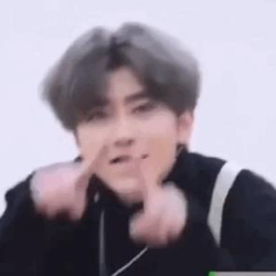 鸽鸽带我刷算法