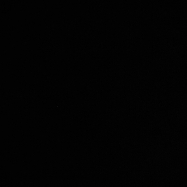 这也不会那也不会