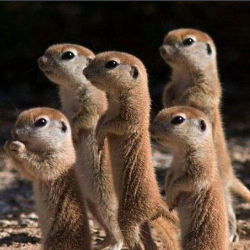 何处春江无月明