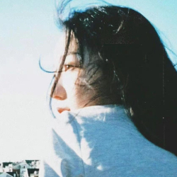 哥们儿不会敲代码