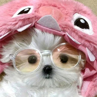 番茄长成马铃薯