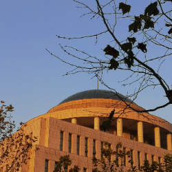 我为信农举大旗