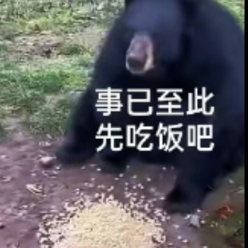 我直接给电脑吃咯