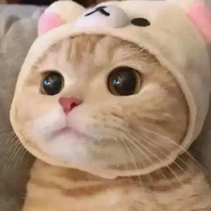 回首难觅旧时光