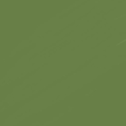 在敲代码就废掉